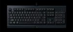 ⁦מקלדת גיימינג Razer Cynosa Lite Essential⁩ – תמונה ⁦2⁩