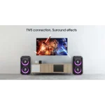 בידורית קריוקי עוצמתית W-KING T9 80W