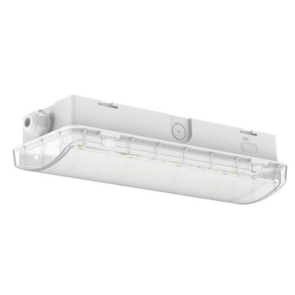 תאורת חירום מוגן מים על הטיח EML-03142IP