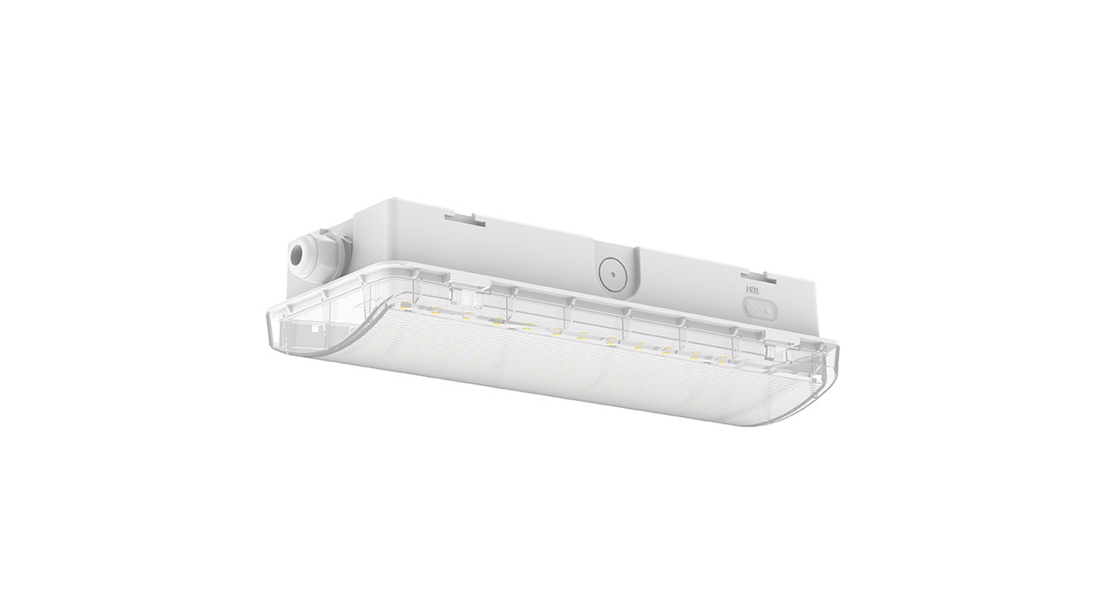 תאורת חירום מוגן מים על הטיח EML-03142IP