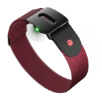 חיישן דופק אופטי לזרוע עם Bluetooth, ANT+ וזיכרון פנימי מבית Polar Verity Sense
