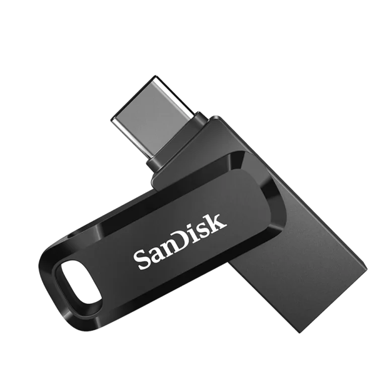 התקן זיכרון DUAL USB3.1/TYPEC GO 256BG