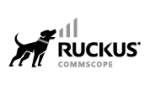 R.ANALYTICS 1Y 1AP/SW