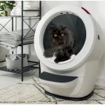 בסיס להתאמת Litter-Robot 4 לשטיח