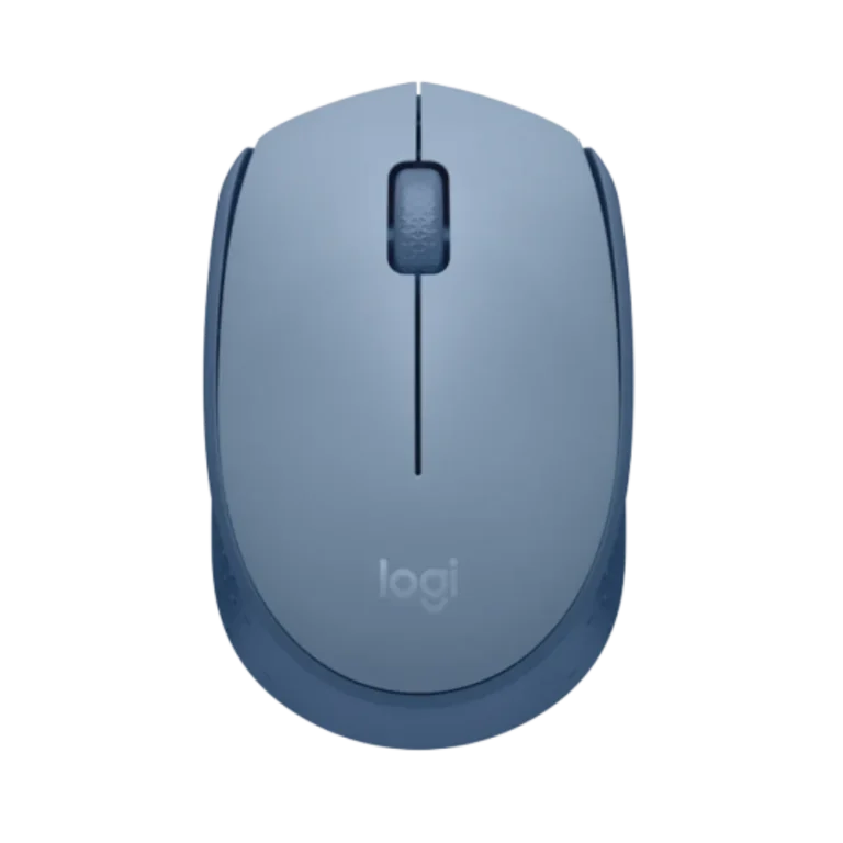 עכבר אלחוטי M171 Wireless Mouse-BLUEGREY