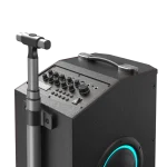 בידורית + 2 מיקרופונים דגם K21SE 120W מבית W-KING