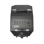 בידורית + 2 מיקרופונים דגם K21SE 120W מבית W-KING