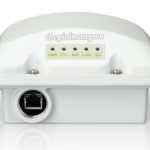Ruckus Outdoor Wireless AP T350C