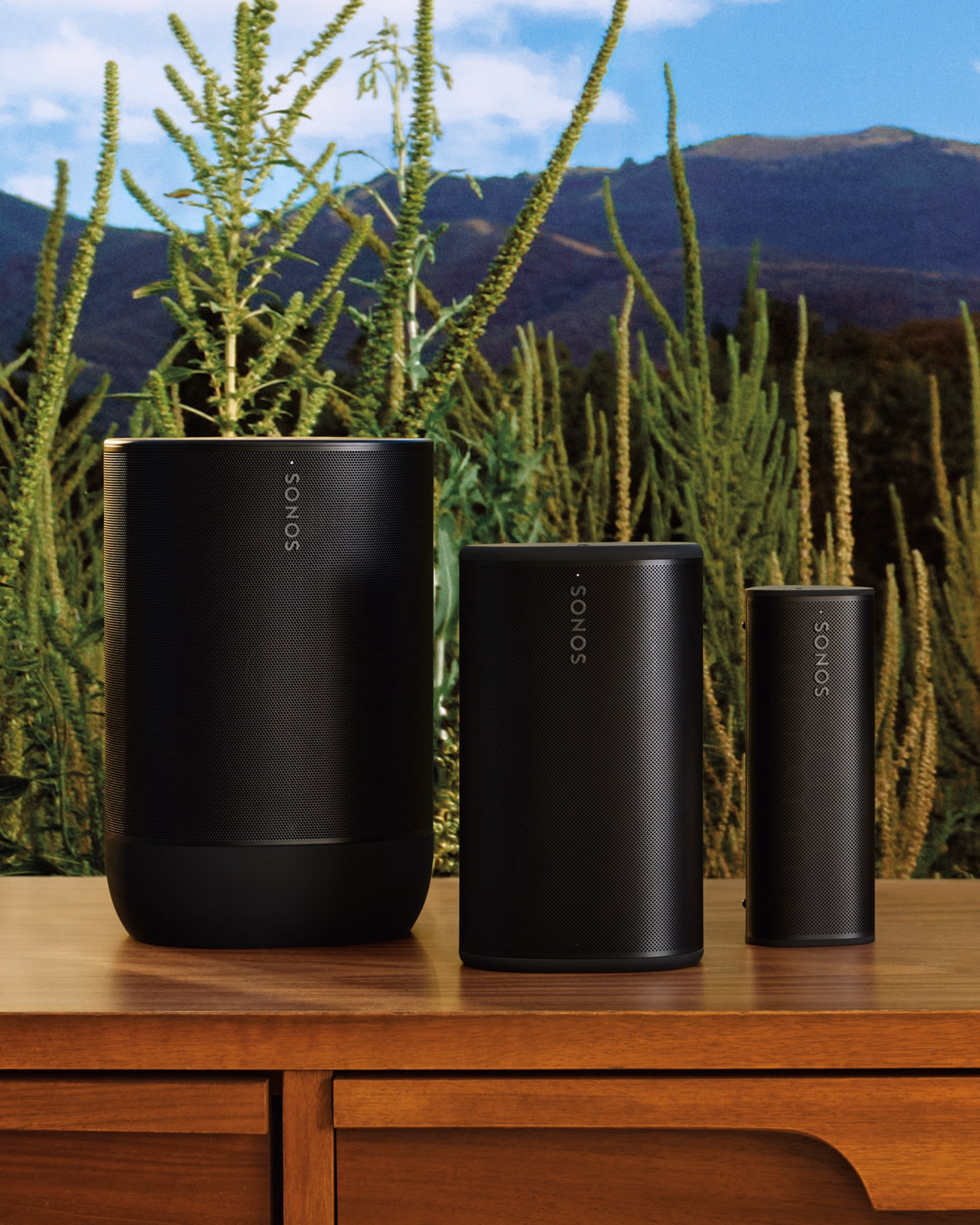 רמקול נייד חכם Play מבית Sonos