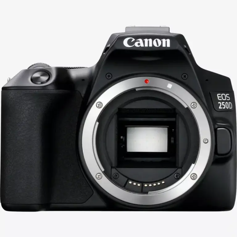 מצלמת Canon EOS 250D עם עדשת EF-S 18-55 DC III – גוף המצלמה