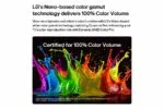 טלוויזיה "85 חכמה LG QNED evo MiniLED AI ברזולוציית 4K דגם: 85QNED8MB6T - תמונה נוספת